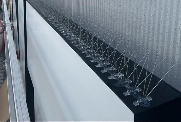 Bird Spikes 12-19-23-5-1-1-1-1-1-3