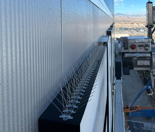 Bird Spikes 12-19-23