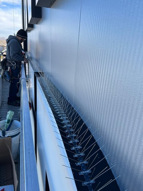 Bird Spikes 12.19.23-6