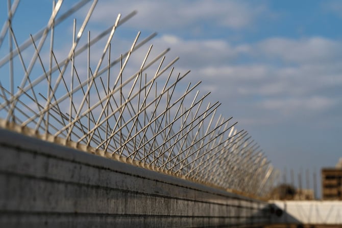 Close up view of a pigeon abatement with spikes