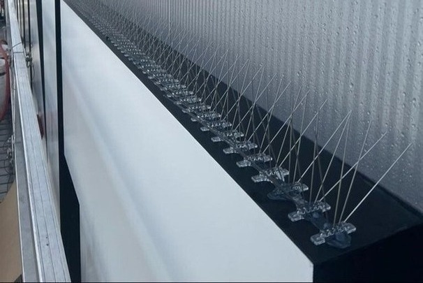 Bird Spikes 12-19-23-5-1-1-1-1-1-3-1